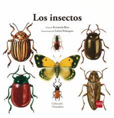 los insectos-fernando bort misol-9788467577617