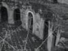 luciano matus-luciano (text.) et al. buntinx-9788475066417