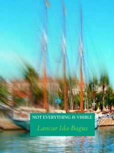 not everything is visible (ebook)-9789462545717