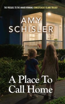 -amy schisler-9798994574317