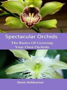 spectacular orchids: the basics of growing your own orchids (ebook)-gene ashburner-cdlxi00360717
