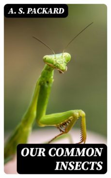 our common insects (ebook)-a. s. packard-8596547381327