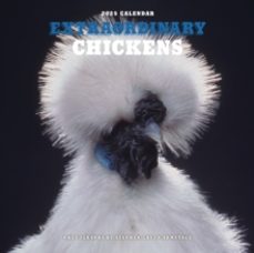 extraordinary chickens 2025 wall calendar-9781419774027