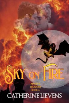 sky on fire-catherine lievens-9781487443627