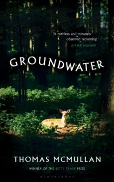 groundwater-thomas mcmullan-9781526678027