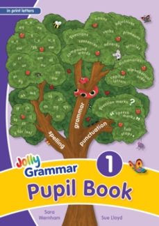 grammar 1 pupil book-sara wernham-9781844142927
