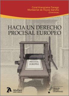 hacia un derecho procesal europeo-maria del coral aranguena fanego-9788410174627