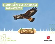 castoria 4 años tercer trimestre projecte castoria comunidad valenciana ed 2022 cast-9788411201827