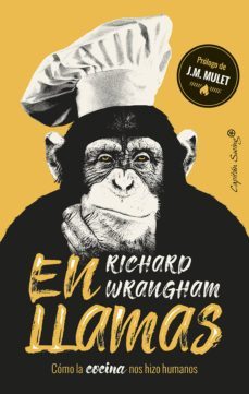 en llamas (ebook)-9788412042627