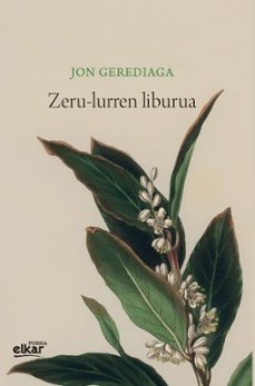 zeru-lurren liburua (irun hiria poesia) (ebook)-jon gerediaga-9788413603827