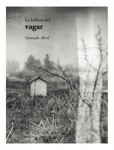 la belleza del vagar-gonzalo abril-9788419453327