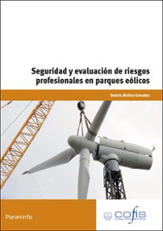(mf00618_2) seguridad y evaluacion de riegos profesionales en par ques eolicos-beatriz molino gonzalez-9788428333627