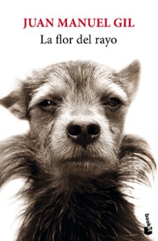 la flor del rayo-juan manuel gil-9788432244827