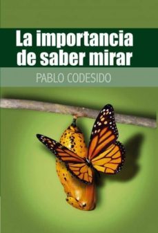 la importancia de saber mirar... (ebook)-9788468636627