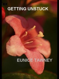 -eunice tawney-9798233611827