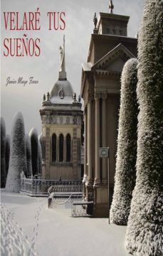 velare tus sueños (ebook)-javier marzo ferrer-cdlap00011727