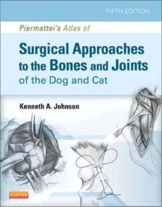 -kenneth a. johnson-9780323249737