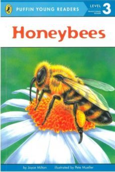 honeybees (level 3)-9780448494937