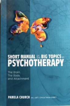 short manual on the big topics in psychotherapy (ebook)-9780578979137