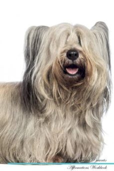 -9781526975737