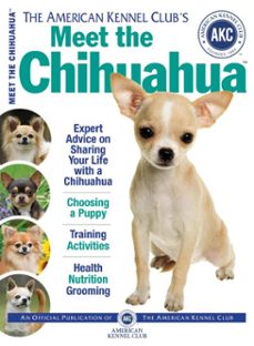 meet the chihuahua (ebook)-9781620080337