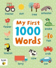 my first 1000 words. bright bee picture dictionary-9781837951437