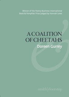 a coalition of cheetahs (ebook)-doreen gurrey-9781914914737