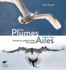 des plumes et des ailes : pourquoi et comment volent les oiseaux-9782603025437