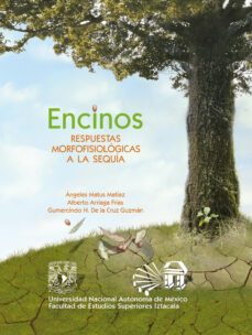 encinos. respuestas morfofisiologicas a la sequia (ebook)-ángeles matus matíaz-alberto arriaga frías-gumercindo h. de la cruz guzmán-9786073059237