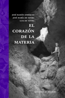 el corazon de la materia (ebook)-jose ramon enriquez-jose maria de tavira-luis de tavira-9786074091137