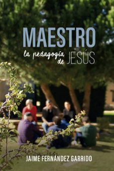 maestro (ebook)-jaime fernández garrido-9786553502437