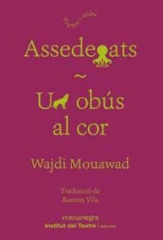 assedegats / un abus al cor-silvia navarro perramon-9788418022937