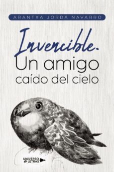 invencible. un amigo caido del cielo (ebook)-9788419613837
