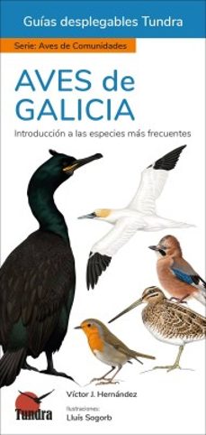 aves de galicia - guias desplegables tundra-victor j. hernandez-9788419624437