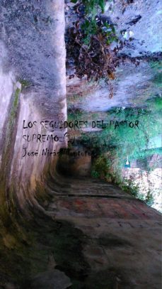 los seguidores del pastor supremo (i) (ebook)-jose nicas montoto-9788483262337