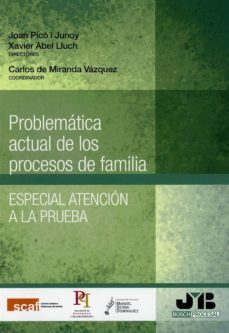 problematica actual de los procesos de familia-joan pico i junoy-9788494912337