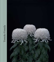 tomoko yoneda-9788498447637