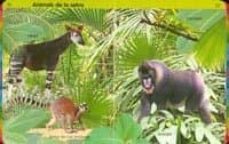 el gran llibre dels animals-9788499137537