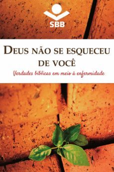 deus no se esqueceu de voce (ebook)-eleny vassao de paula itken-9788531114137