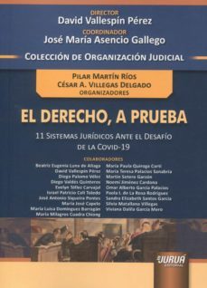 derecho, a prueba.11 sistemas juridicos ante el desafio de la covid-19-david vallespin perez-9789897128837
