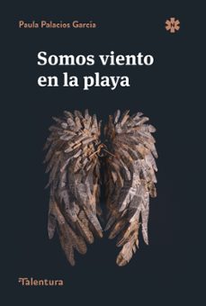 somos viento en la playa-paula palacios garcia-9791399110937