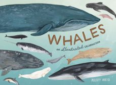 whales (ebook)-kelsey oseid-9780399581847