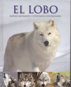 (pe) el lobo-9781445453347