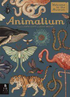 animalium-9781787411647