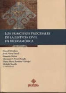 los principios procesales de la justicia civil en iberoamerica-9786123250447
