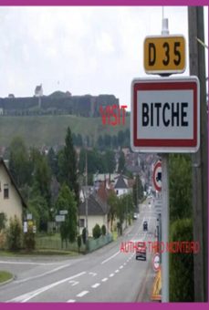 visit bitche! (ebook)-theobaldo veira monteiro-9786501478647