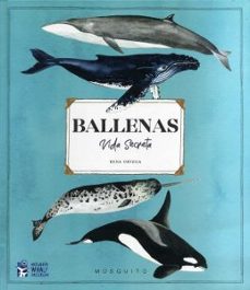 ballenas vida secreta-9788412247947
