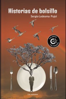 (i.b.d.) historias de bolsillo-sergio ledesma pujol-9788417335847