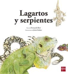 lagartos y serpientes-fernando bort misol-9788467573947