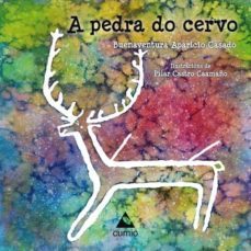 a pedra do cervo-buenaventura aparicio casado-pilar castro caamaño-9788482895147